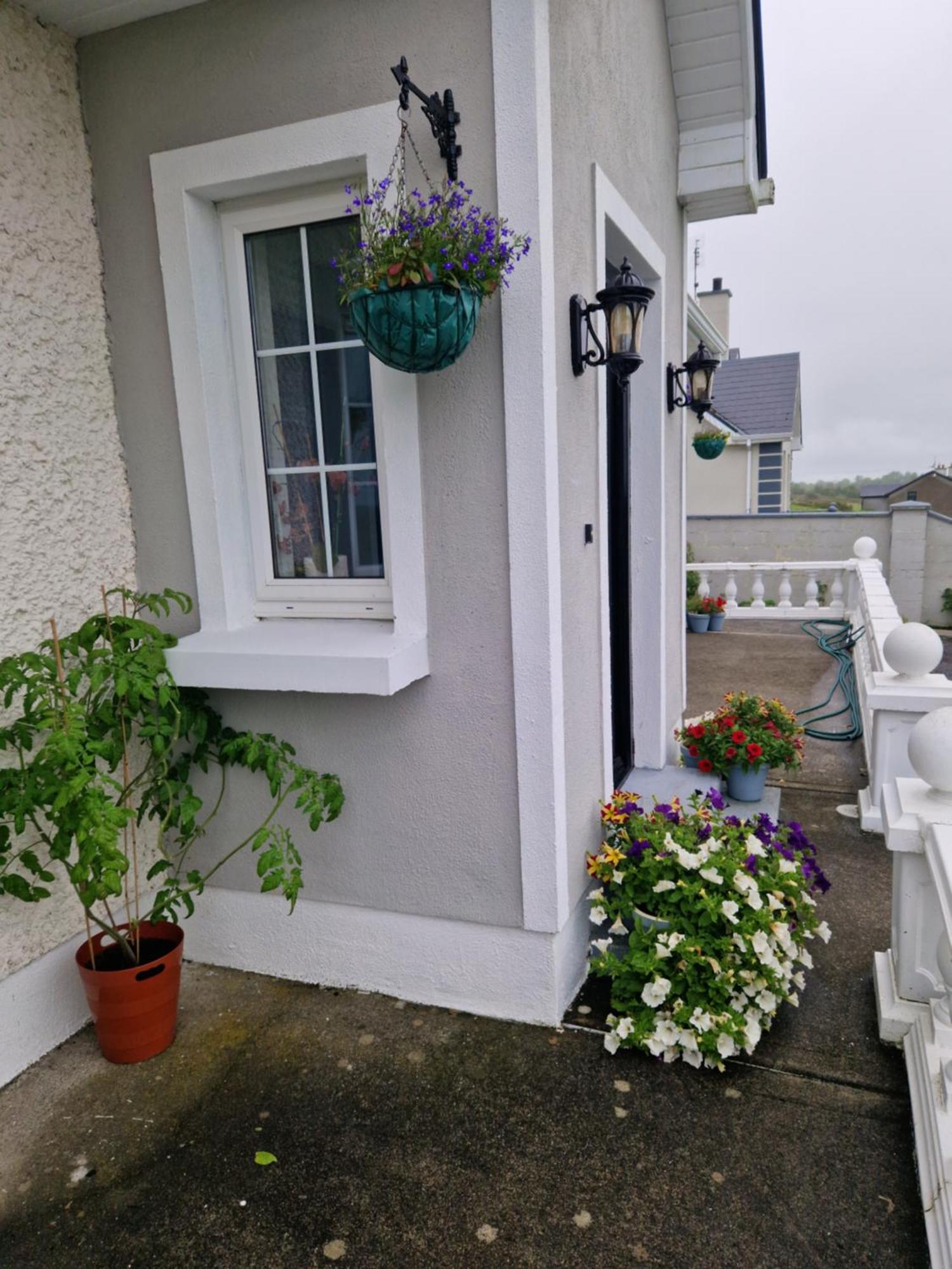 Forest View Dunmore Galway H54P897 Bed & Breakfast エクステリア 写真